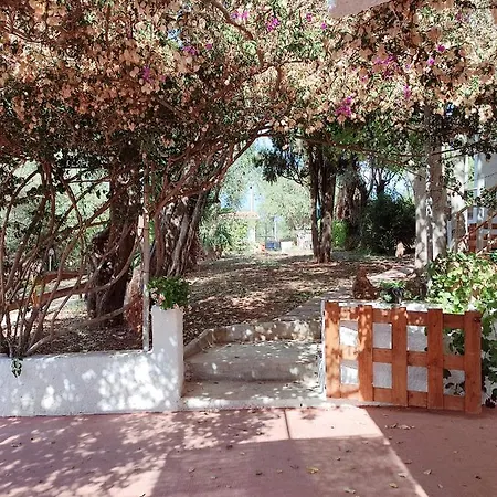 Alghero Guest House 알게로