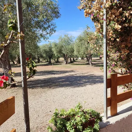 Alghero Guest House *