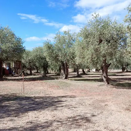 Alghero Guest House 아파트 *